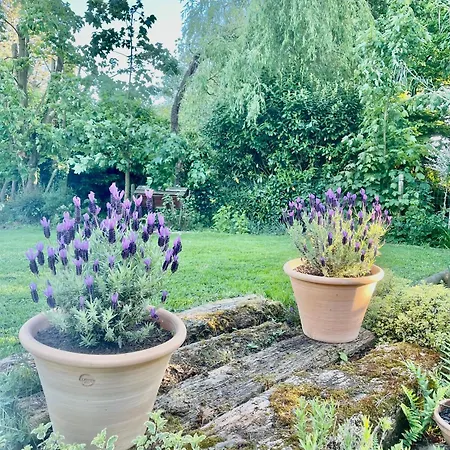 Clos Almahe Gainneville