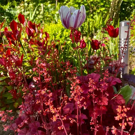 Clos Almahe Gainneville