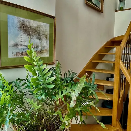 Clos Almahe Gainneville