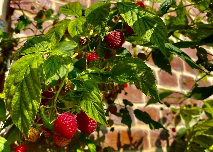 Clos Almahe 3* Gainneville