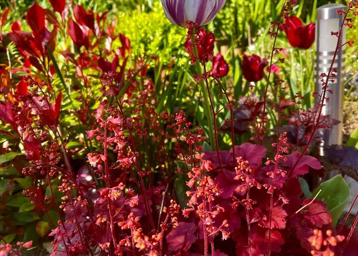 Clos Almahe Gainneville