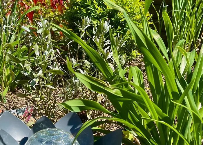 Bed & Breakfast Clos Almahe